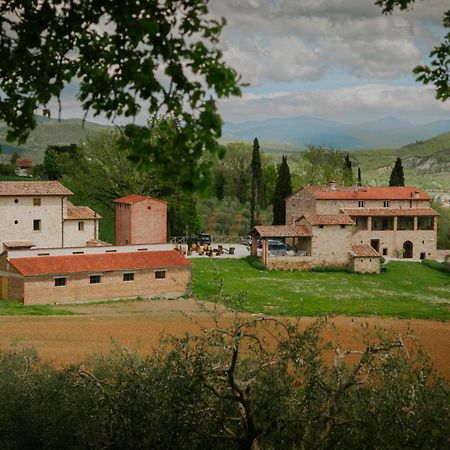 Agriturismo Podere Tovari アンギアーリ エクステリア 写真