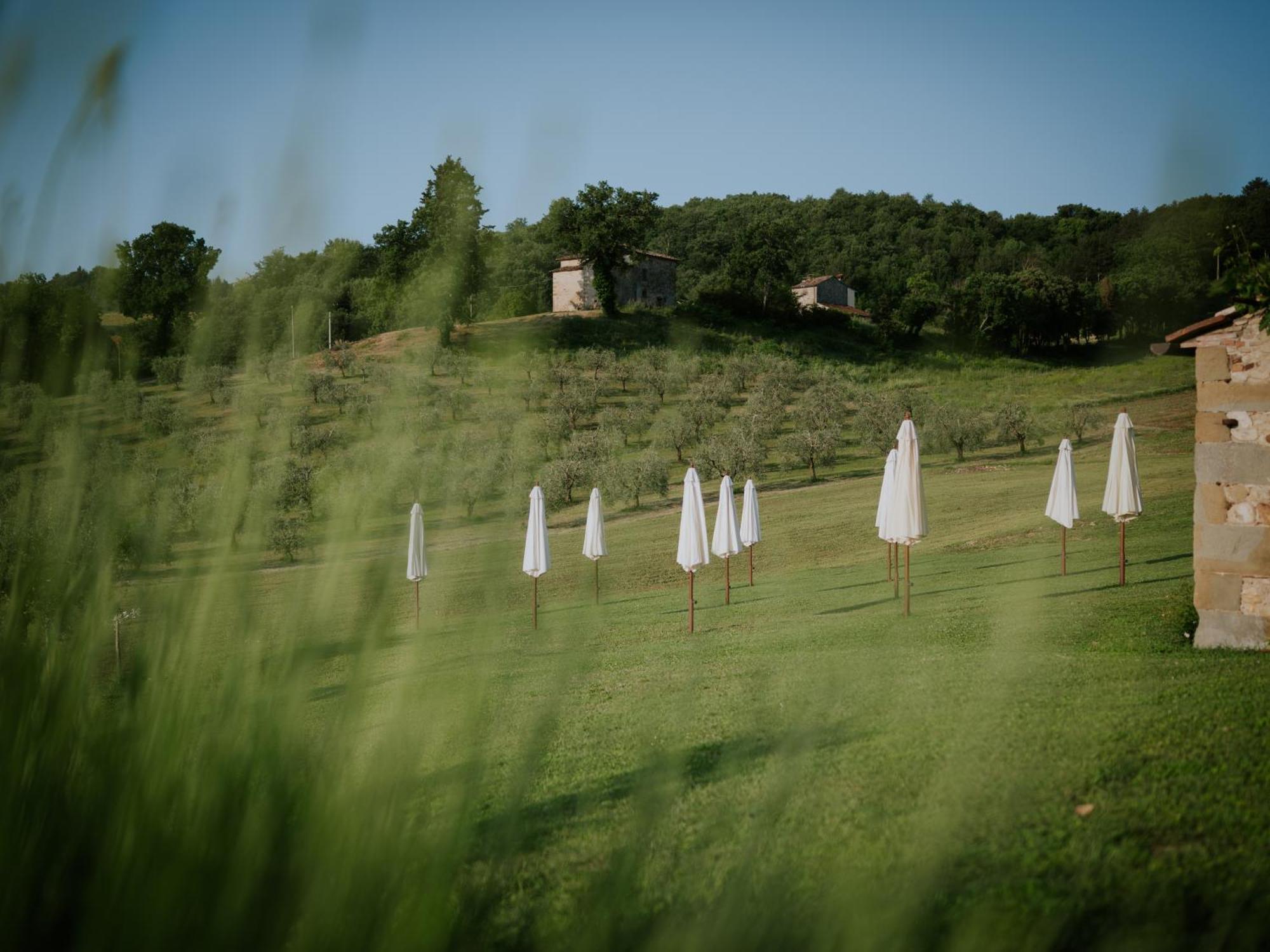 Agriturismo Podere Tovari アンギアーリ エクステリア 写真