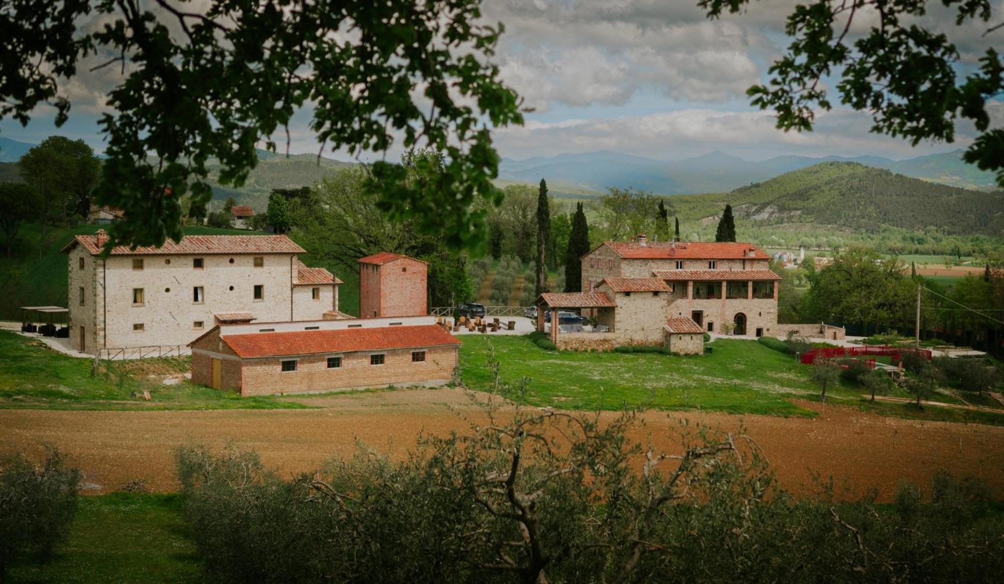 Agriturismo Podere Tovari アンギアーリ エクステリア 写真